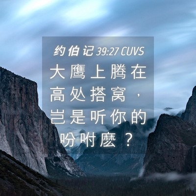Picture 04 - 约 伯 记 39:27 CUVS - 大 鹰 上 腾 在 高 处 搭 窝 ， 岂 是 - Bible Verse Picture