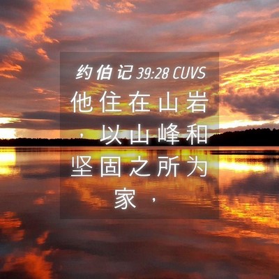 Picture 04 - 约 伯 记 39:28 CUVS - 他 住 在 山 岩 ， 以 山 峰 和 坚 固 - Bible Verse Picture