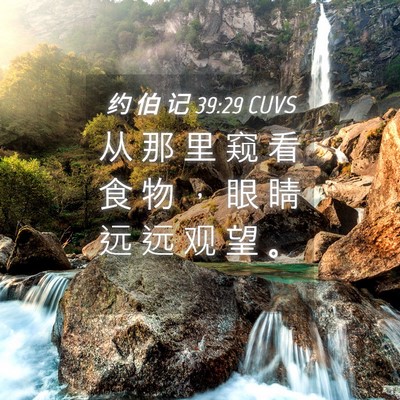 Picture 04 - 约 伯 记 39:29 CUVS - 从 那 里 窥 看 食 物 ， 眼 睛 远 远 - Bible Verse Picture