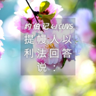 Picture 04 - 约 伯 记 4:1 CUVS - 提 幔 人 以 利 法 回 答 说 - Bible Verse Picture