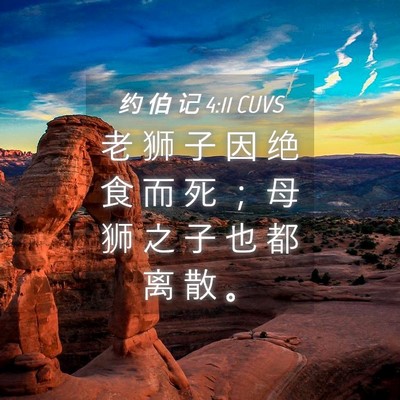 Picture 04 - 约 伯 记 4:11 CUVS - 老 狮 子 因 绝 食 而 死 ； 母 狮 之 - Bible Verse Picture