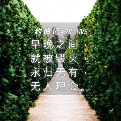 Picture 04 - 约 伯 记 4:20 CUVS - 早 晚 之 间 ， 就 被 毁 灭 ， 永 归 - Bible Verse Picture