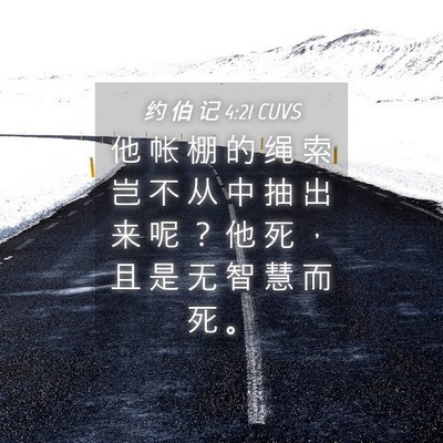 Picture 04 - 约 伯 记 4:21 CUVS - 他 帐 棚 的 绳 索 岂 不 从 中 抽 出 - Bible Verse Picture