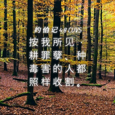 Picture 04 - 约 伯 记 4:8 CUVS - 按 我 所 见 ， 耕 罪 孽 、 种 毒 害 - Bible Verse Picture