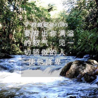 Picture 04 - 约 伯 记 40:11 CUVS - 要 发 出 你 满 溢 的 怒 气 ， 见 一 - Bible Verse Picture
