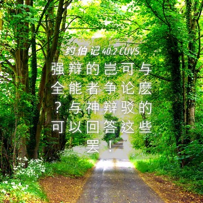 Picture 04 - 约 伯 记 40:2 CUVS - 强 辩 的 岂 可 与 全 能 者 争 论 麽 - Bible Verse Picture