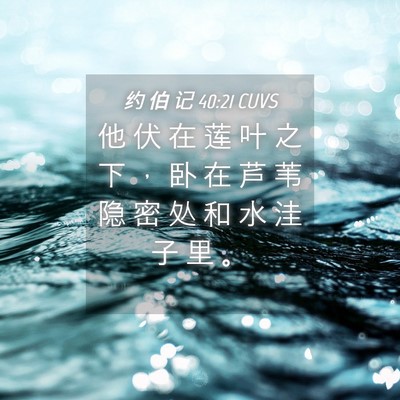 Picture 04 - 约 伯 记 40:21 CUVS - 他 伏 在 莲 叶 之 下 ， 卧 在 芦 苇 - Bible Verse Picture