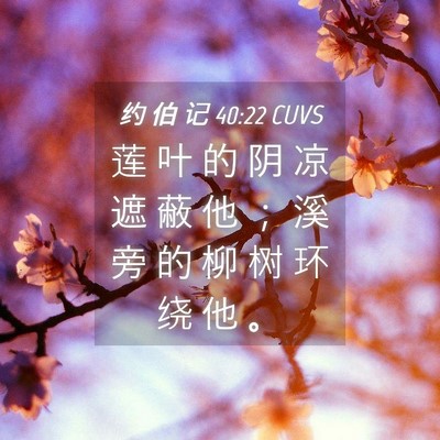 Picture 04 - 约 伯 记 40:22 CUVS - 莲 叶 的 阴 凉 遮 蔽 他 ； 溪 旁 的 - Bible Verse Picture