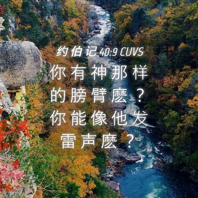 Picture 04 - 约 伯 记 40:9 CUVS - 你 有 神 那 样 的 膀 臂 麽 ？ 你 能 - Bible Verse Picture