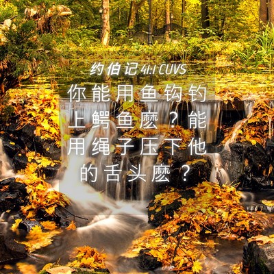Picture 04 - 约 伯 记 41:1 CUVS - 你 能 用 鱼 钩 钓 上 鳄 鱼 麽 ？ 能 - Bible Verse Picture