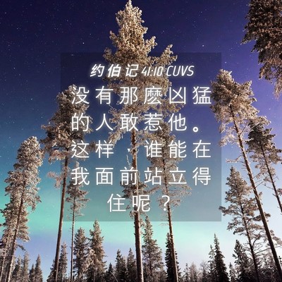 Picture 04 - 约 伯 记 41:10 CUVS - 没 有 那 麽 凶 猛 的 人 敢 惹 他 。 - Bible Verse Picture