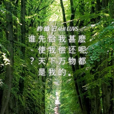 Picture 04 - 约 伯 记 41:11 CUVS - 谁 先 给 我 甚 麽 ， 使 我 偿 还 呢 - Bible Verse Picture