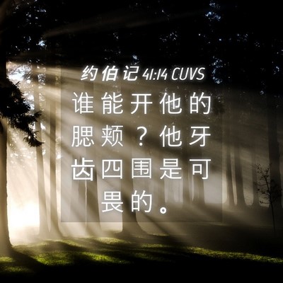 Picture 04 - 约 伯 记 41:14 CUVS - 谁 能 开 他 的 腮 颊 ？ 他 牙 齿 四 - Bible Verse Picture
