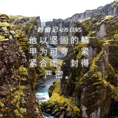 Picture 04 - 约 伯 记 41:15 CUVS - 他 以 坚 固 的 鳞 甲 为 可 夸 ， 紧 - Bible Verse Picture