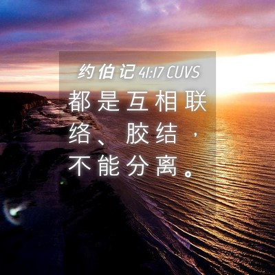 Picture 04 - 约 伯 记 41:17 CUVS - 都 是 互 相 联 络 、 胶 结 ， 不 能 - Bible Verse Picture