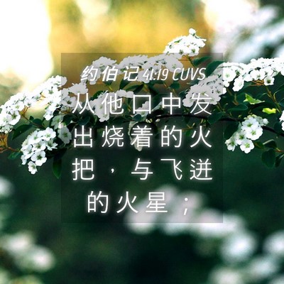 Picture 04 - 约 伯 记 41:19 CUVS - 从 他 口 中 发 出 烧 着 的 火 把 ， - Bible Verse Picture