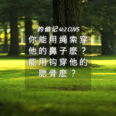 Picture 04 - 约 伯 记 41:2 CUVS - 你 能 用 绳 索 穿 他 的 鼻 子 麽 ？ - Bible Verse Picture