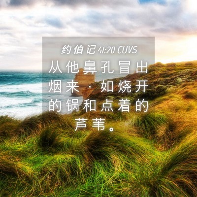 Picture 04 - 约 伯 记 41:20 CUVS - 从 他 鼻 孔 冒 出 烟 来 ， 如 烧 开 - Bible Verse Picture