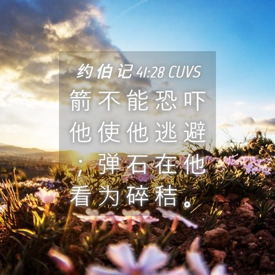 Picture 04 - 约 伯 记 41:28 CUVS - 箭 不 能 恐 吓 他 使 他 逃 避 ； 弹 - Bible Verse Picture