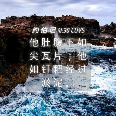 Picture 04 - 约 伯 记 41:30 CUVS - 他 肚 腹 下 如 尖 瓦 片 ； 他 如 钉 - Bible Verse Picture