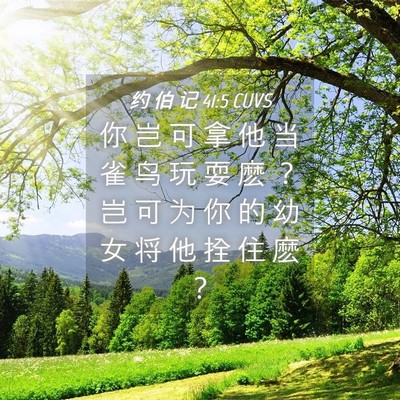 Picture 04 - 约 伯 记 41:5 CUVS - 你 岂 可 拿 他 当 雀 鸟 玩 耍 麽 ？ - Bible Verse Picture