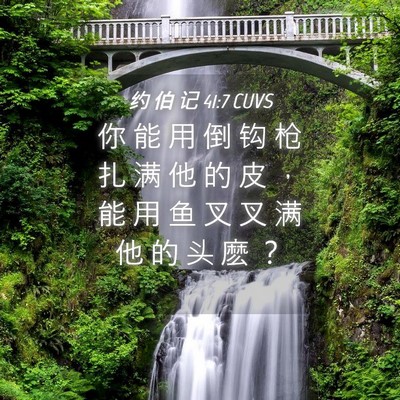 Picture 04 - 约 伯 记 41:7 CUVS - 你 能 用 倒 钩 枪 扎 满 他 的 皮 ， - Bible Verse Picture
