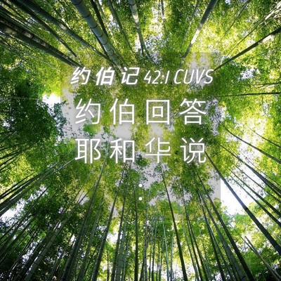 Picture 04 - 约 伯 记 42:1 CUVS - 约 伯 回 答 耶 和 华 说 - Bible Verse Picture