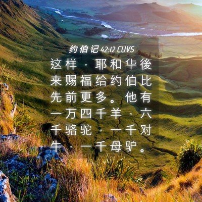 Picture 04 - 约 伯 记 42:12 CUVS - 这 样 ， 耶 和 华 後 来 赐 福 给 约 - Bible Verse Picture