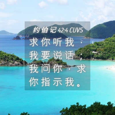 Picture 04 - 约 伯 记 42:4 CUVS - 求 你 听 我 ， 我 要 说 话 ； 我 问 - Bible Verse Picture