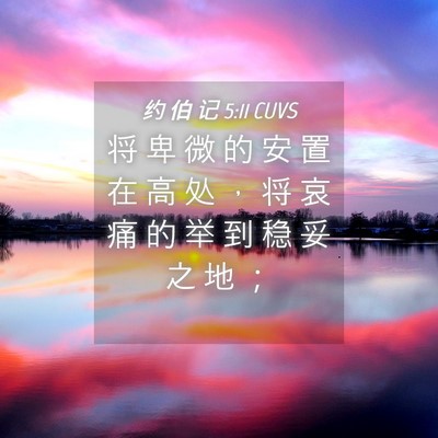 Picture 04 - 约 伯 记 5:11 CUVS - 将 卑 微 的 安 置 在 高 处 ， 将 哀 - Bible Verse Picture