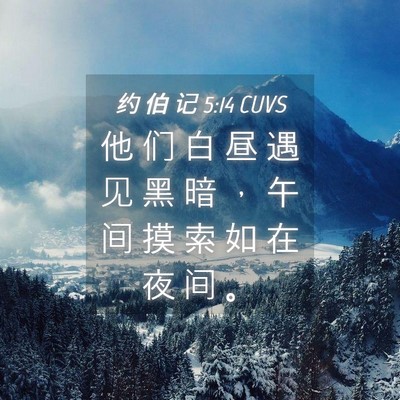 Picture 04 - 约 伯 记 5:14 CUVS - 他 们 白 昼 遇 见 黑 暗 ， 午 间 摸 - Bible Verse Picture