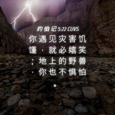 Picture 04 - 约 伯 记 5:22 CUVS - 你 遇 见 灾 害 饥 馑 ， 就 必 嬉 笑 - Bible Verse Picture