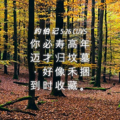 Picture 04 - 约 伯 记 5:26 CUVS - 你 必 寿 高 年 迈 才 归 坟 墓 ， 好 - Bible Verse Picture