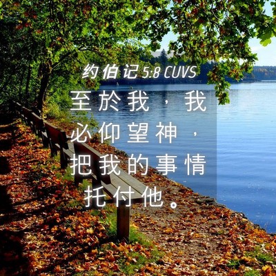 Picture 04 - 约 伯 记 5:8 CUVS - 至 於 我 ， 我 必 仰 望 神 ， 把 我 - Bible Verse Picture