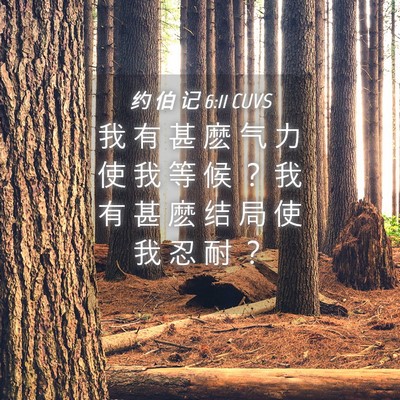 Picture 04 - 约 伯 记 6:11 CUVS - 我 有 甚 麽 气 力 使 我 等 候 ？ 我 - Bible Verse Picture