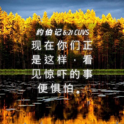 Picture 04 - 约 伯 记 6:21 CUVS - 现 在 你 们 正 是 这 样 ， 看 见 惊 - Bible Verse Picture