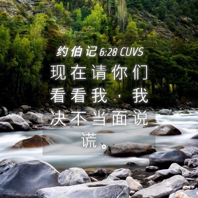 Picture 04 - 约 伯 记 6:28 CUVS - 现 在 请 你 们 看 看 我 ， 我 决 不 - Bible Verse Picture