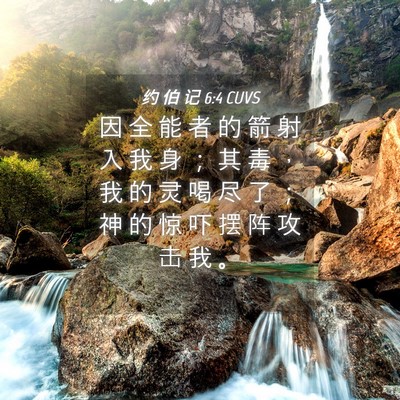 Picture 04 - 约 伯 记 6:4 CUVS - 因 全 能 者 的 箭 射 入 我 身 ； 其 - Bible Verse Picture