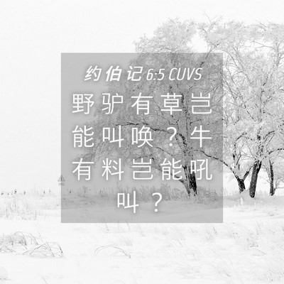 Picture 04 - 约 伯 记 6:5 CUVS - 野 驴 有 草 岂 能 叫 唤 ？ 牛 有 料 - Bible Verse Picture