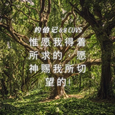 Picture 04 - 约 伯 记 6:8 CUVS - 惟 愿 我 得 着 所 求 的 ， 愿 神 赐 - Bible Verse Picture
