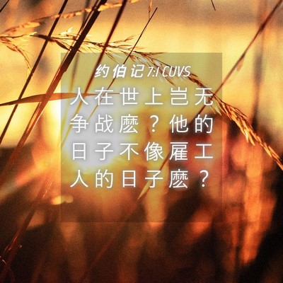 Picture 04 - 约 伯 记 7:1 CUVS - 人 在 世 上 岂 无 争 战 麽 ？ 他 的 - Bible Verse Picture