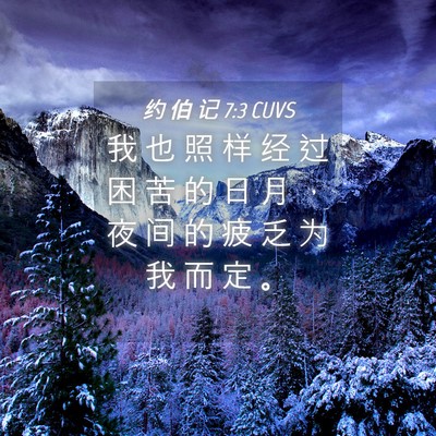 Picture 04 - 约 伯 记 7:3 CUVS - 我 也 照 样 经 过 困 苦 的 日 月 ， - Bible Verse Picture