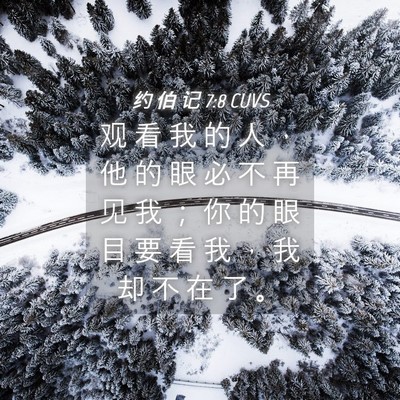 Picture 04 - 约 伯 记 7:8 CUVS - 观 看 我 的 人 ， 他 的 眼 必 不 再 - Bible Verse Picture