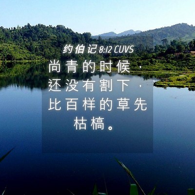 Picture 04 - 约 伯 记 8:12 CUVS - 尚 青 的 时 候 ， 还 没 有 割 下 ， - Bible Verse Picture