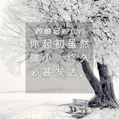 Picture 04 - 约 伯 记 8:7 CUVS - 你 起 初 虽 然 微 小 ， 终 久 必 甚 - Bible Verse Picture