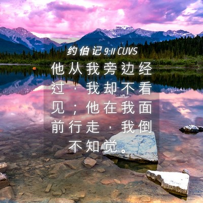 Picture 04 - 约 伯 记 9:11 CUVS - 他 从 我 旁 边 经 过 ， 我 却 不 看 - Bible Verse Picture
