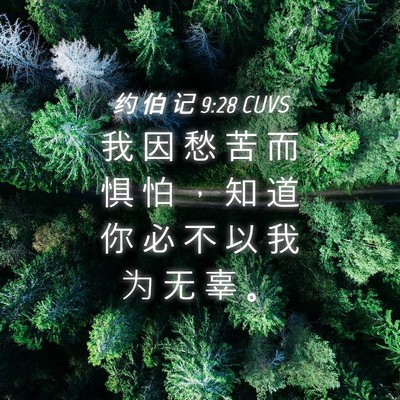 Picture 04 - 约 伯 记 9:28 CUVS - 我 因 愁 苦 而 惧 怕 ， 知 道 你 必 - Bible Verse Picture
