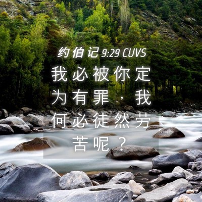 Picture 04 - 约 伯 记 9:29 CUVS - 我 必 被 你 定 为 有 罪 ， 我 何 必 - Bible Verse Picture