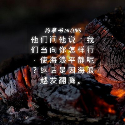 Picture 04 - 约 拿 书 1:11 CUVS - 他 们 问 他 说 ： 我 们 当 向 你 怎 - Bible Verse Picture
