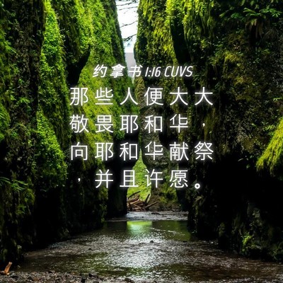 Picture 04 - 约 拿 书 1:16 CUVS - 那 些 人 便 大 大 敬 畏 耶 和 华 ， - Bible Verse Picture